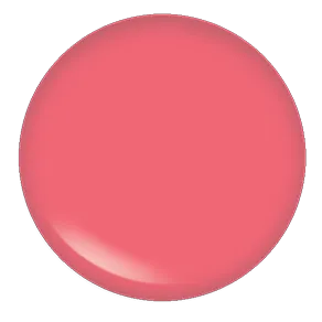 Blush Makeup Cosmetics Lipgloss