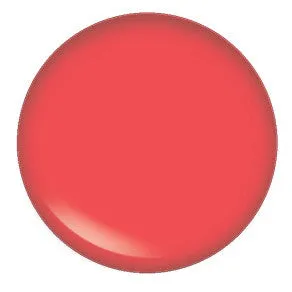 Blush Makeup Cosmetics Lipgloss