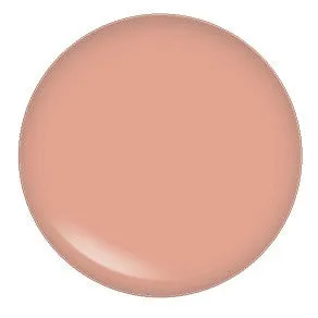 Blush Makeup Cosmetics Lipgloss