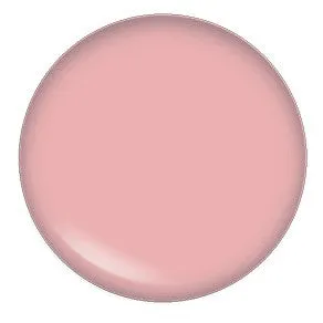Blush Makeup Cosmetics Lipgloss