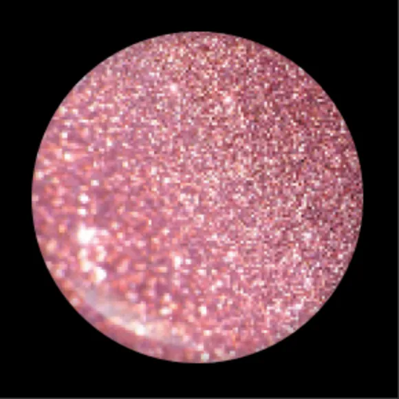 Blush Makeup Cosmetics Lipgloss