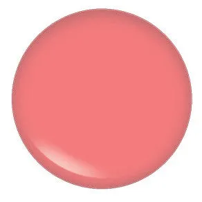 Blush Makeup Cosmetics Lipgloss