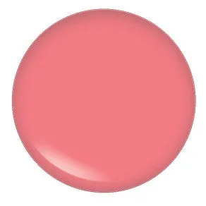 Blush Makeup Cosmetics Lipgloss