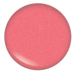 Blush Makeup Cosmetics Lipgloss