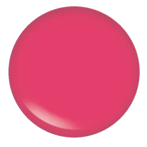 Blush Makeup Cosmetics Lipgloss
