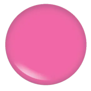 Blush Makeup Cosmetics Lipgloss
