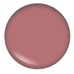Blush Makeup Cosmetics Lipgloss