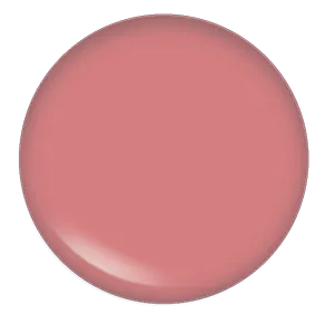Blush Makeup Cosmetics Lipgloss