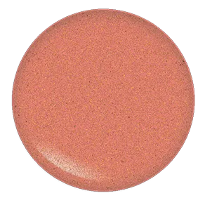 Blush Makeup Cosmetics Lipgloss