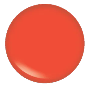 Blush Makeup Cosmetics Lipgloss