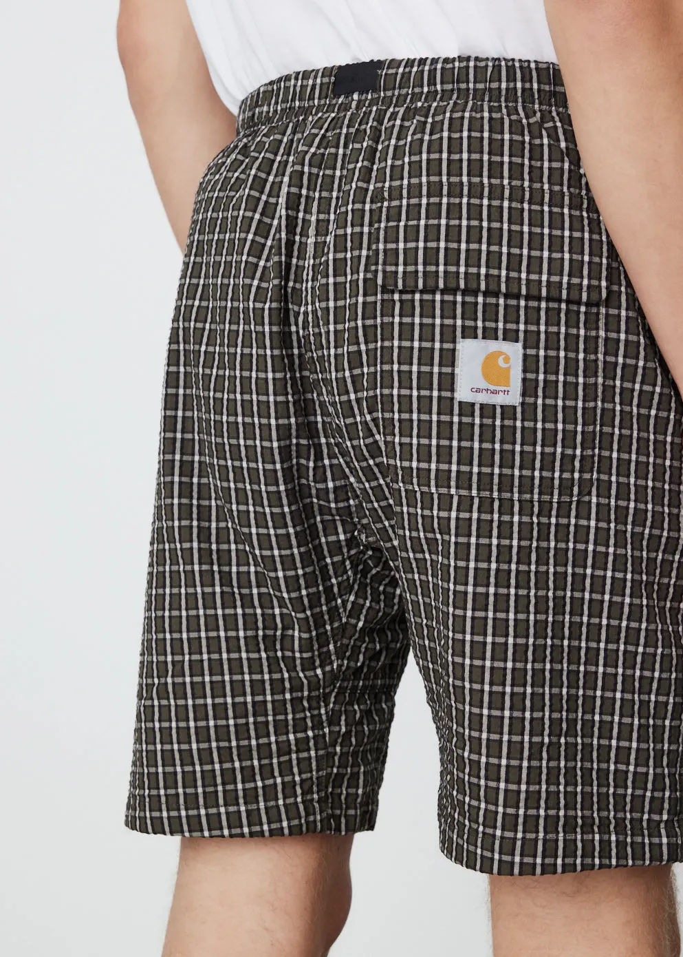 Dryden Shorts