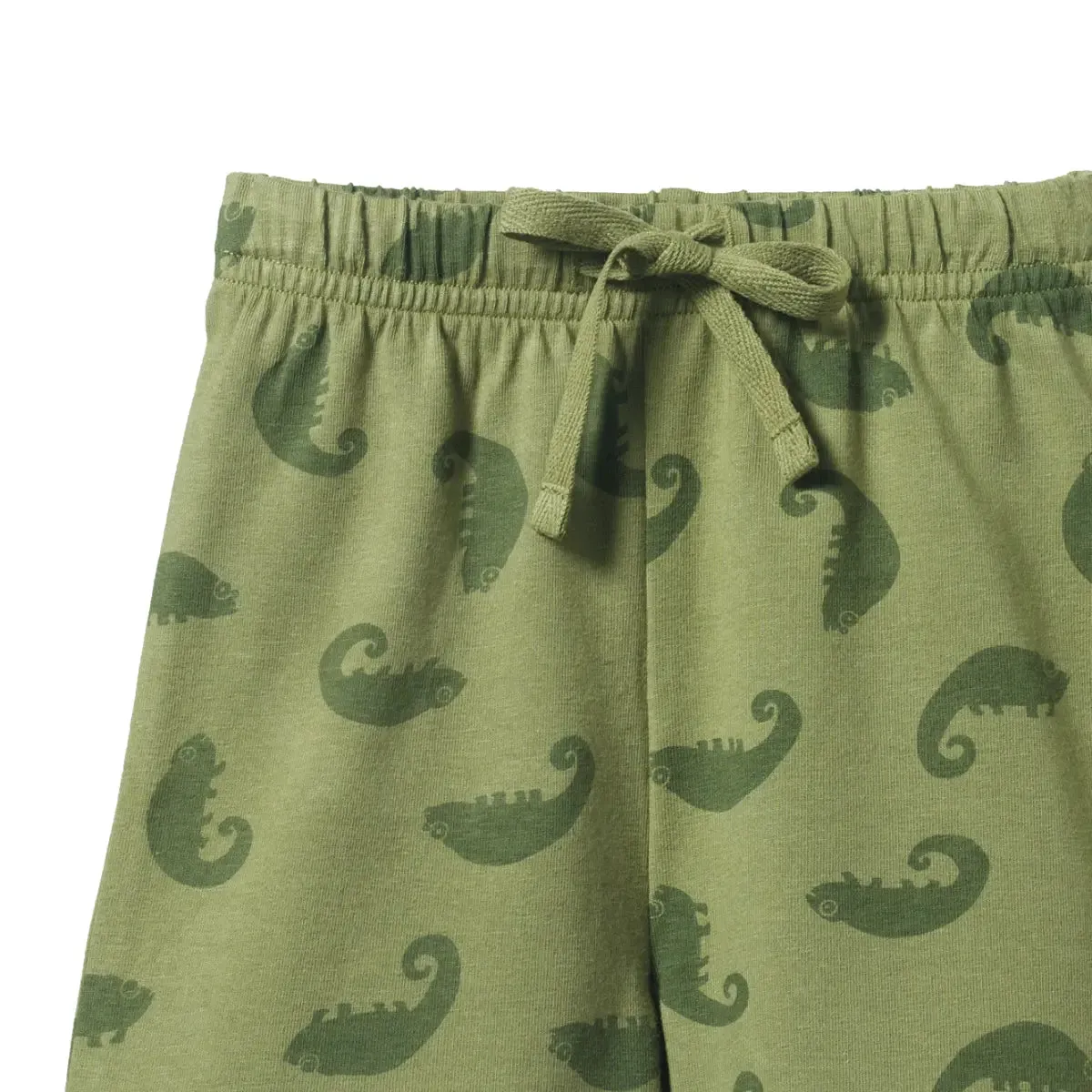 Jimmy Shorts - Chameleon