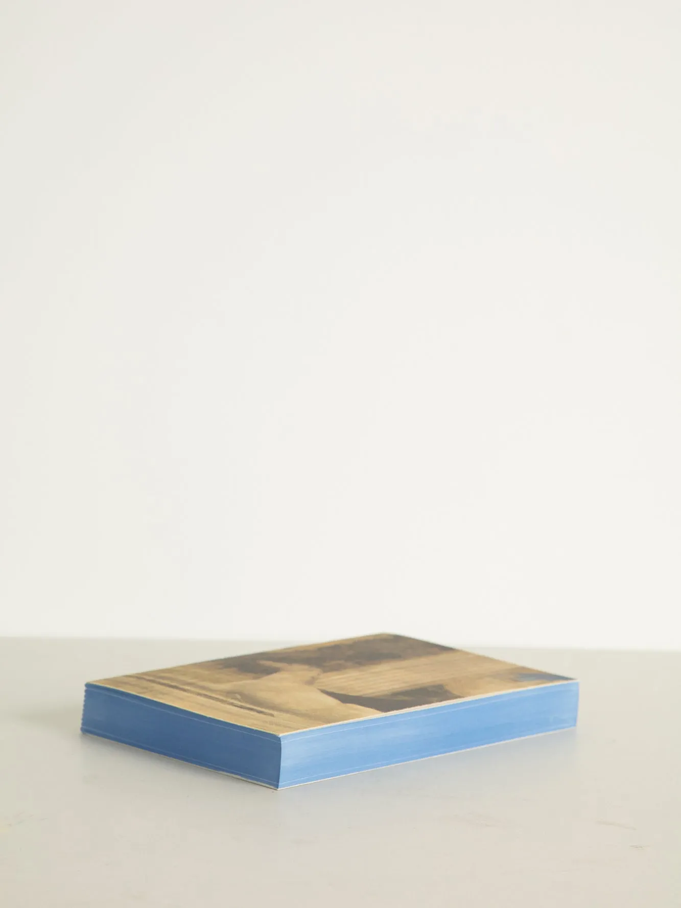 Libri Multi Canvas Notebook - Dog